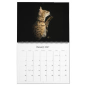 De Afrikaanse servale kat-kalender Kalender (Jan 2027)