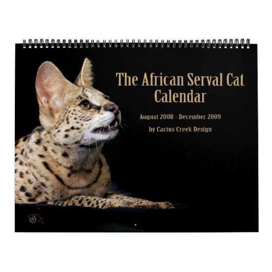 De Afrikaanse servale kat-kalender Kalender (Hoes)