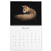 De Afrikaanse servale kat-kalender Kalender (Mar 2026)