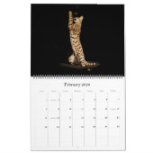 De Afrikaanse servale kat-kalender Kalender (Feb 2026)