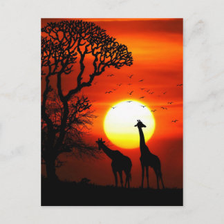 De Afrikaanse Silhouetten van de Giraffe van de Briefkaart