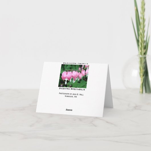 De aftappende Kaart van de Nota van het Hart (Achterkant)