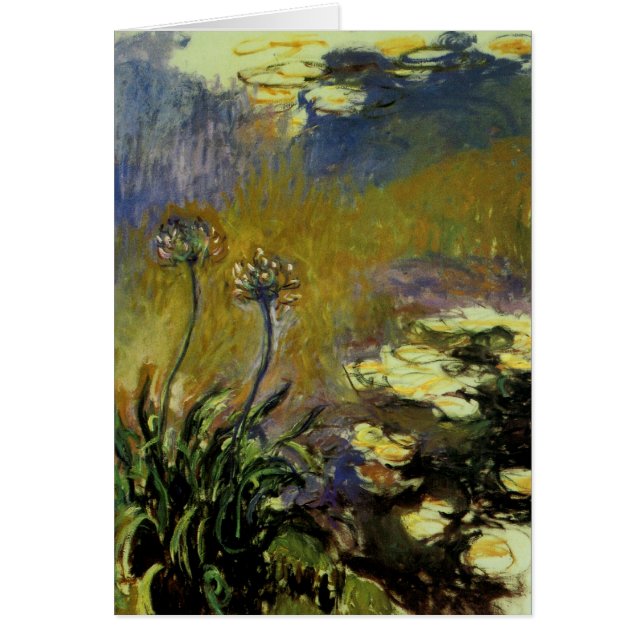 De Agapanthus (Voorkant)