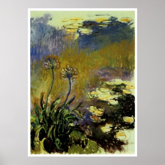 De Agapanthus Poster (Voorkant)