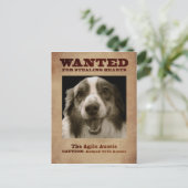 De Agile Aussie Briefkaart (Staand voorkant)