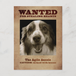 De Agile Aussie Briefkaart