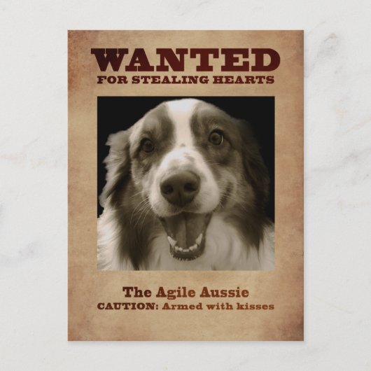 De Agile Aussie Briefkaart (Voorkant)