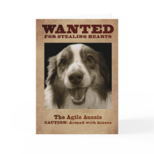 De Agile Aussie