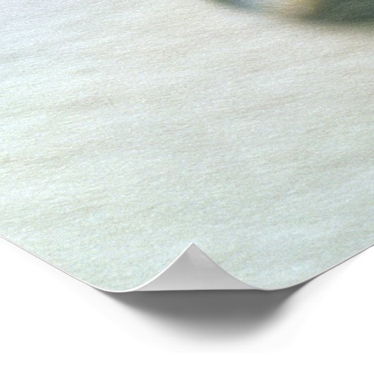 De Agra Diamond Poster (Hoek)