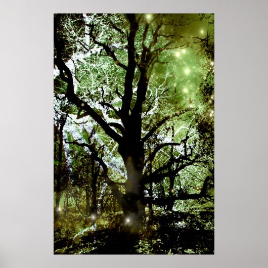 De airy Tree Poster (Voorkant)