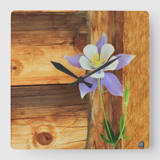 De Akelei en het Hout van Colorado Vierkante Klok (Voorkant)
