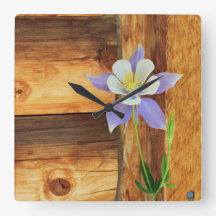 De Akelei en het Hout van Colorado