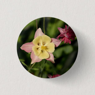 De akelei met Ster vormde Bladeren Ronde Button 3,2 Cm