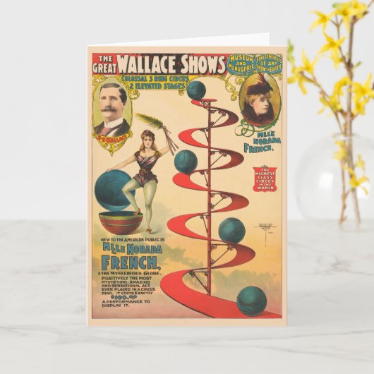 De Akte van M'lle Norada Frans Kaart (Gele Bloem)