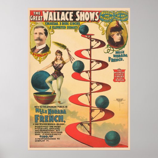 De Akte van M'lle Norada Frans Poster (Voorkant)