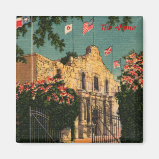De Alamo Texasmagneet Magneet