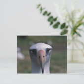 De albatros van Laysan Briefkaart (Staand voorkant)