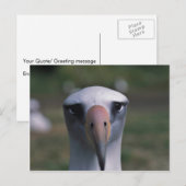 De albatros van Laysan Briefkaart (Voorkant / Achterkant)
