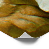 De alchemist poster (Hoek)