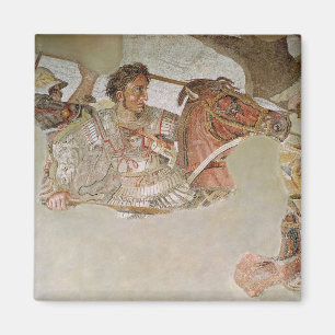 De Alexander Mosaic Magneet
