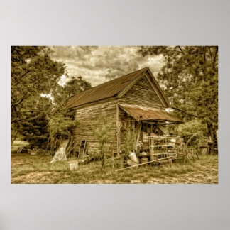 De algemene winkel poster