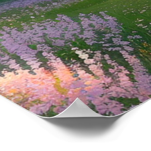 De alleenstaande schoonheid van Cherry Blossom Poster (Hoek)