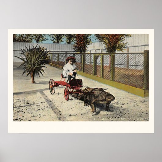 De Alligator Express Cart Print (Voorkant)