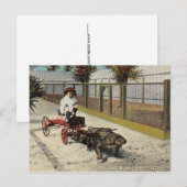 De Alligator Go-Cart-Ansichtskaart Briefkaart (Voorkant / Achterkant)