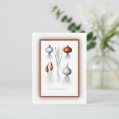 De Allium-familie Briefkaart (Staand voorkant)