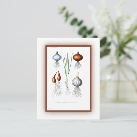 De Allium-familie Briefkaart (Staand voorkant)