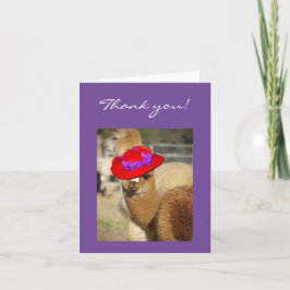 De alpaca dankt u Kaarten