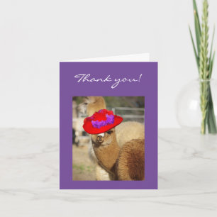De alpaca dankt u Kaarten