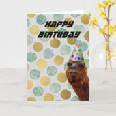 De Alpaca van de partij Kaart (Gele Bloem)