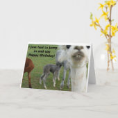 De Alpaca Verjaardag Kaart - Natuur onderbroken (Gele Bloem)