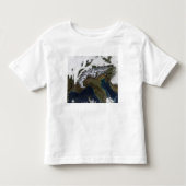De Alpen 4 Kinder Shirts (Voorkant)