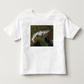 De Alpen Kinder Shirts (Voorkant)