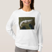 De Alpen T-shirt (Voorkant)