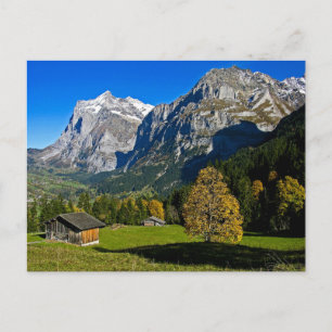 De Alpen, Zwitserland - Briefkaart