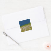 De Alpenfout langs de westkust Vierkante Sticker (Envelop)