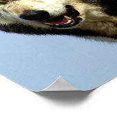 De Alpha Wolf Couple Poster (Hoek)