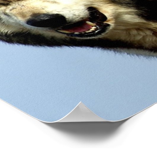 De Alpha Wolf Couple Poster (Hoek)