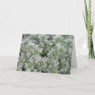 De Alsem van het Kasteel van Powis Kaart