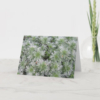 De Alsem van het Kasteel van Powis Kaart