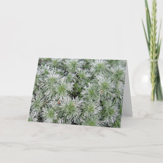 De Alsem van het Kasteel van Powis Kaart (Voorkant)