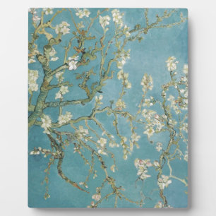 De Amandel van de Takken van Gogh van bloemen komt Fotoplaat