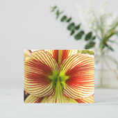 De Amaryllis van de vlinder Briefkaart (Staand voorkant)