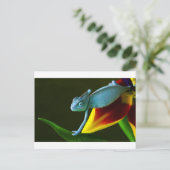De Amazing Chameleon Briefkaart (Staand voorkant)