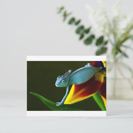 De Amazing Chameleon Briefkaart (Staand voorkant)