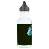 De Amazing Chameleon Waterfles (Links)