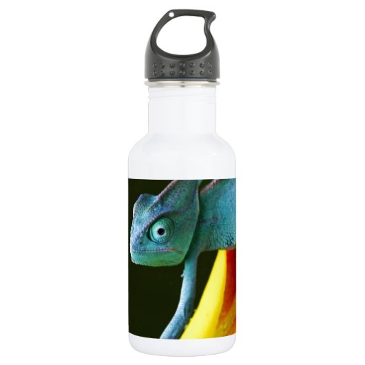 De Amazing Chameleon Waterfles (Voorkant)
